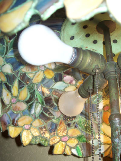 John Morgan & Sons, Black-Eyed Susan Table lamp